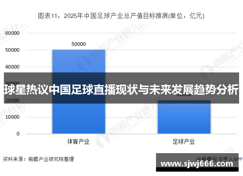 球星热议中国足球直播现状与未来发展趋势分析